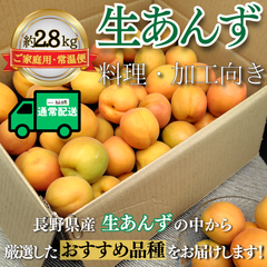生あんず～料理・加工向き～【内容量】約2.8kg【配送方法】常温配送【サイズ】L以上【品目】杏（あんず）【品種】当店お任せ【産地】長野県【規格】ご家庭用A品B品混合【詰め方】バラ詰め【配送までの日数】1～4日
