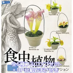 あびんこ　食虫植物　2点　送料無料　メルカリ便 2025年最新】食虫 ガチャガチャの人気アイテム - メルカリ