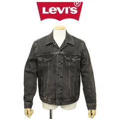 Levi's (リーバイス) 7233-0134 TYPE III THE TRUCKER JACKET トラッカー デニムジャケット 全3色 LV039 BLOW AWAY M