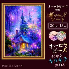 DSAB-6【オーロラビーズ&額縁印刷】ダイヤモンドアート A3 森　幻想的