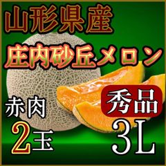 山形県庄内砂丘メロン赤肉2玉秀品3L