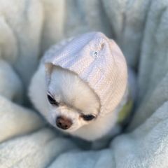 Item thumbnail for item fe4dd19f-5705-44ed-b4fd-ab30b877b6f1