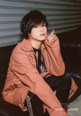 【中古】生写真(ジャニーズ) Hey! Say! JUMP/高木雄也/膝上・座り・衣装茶色紺・左手頬/「Hey! Say! JUMP LIVE TOUR SENSE or LOVE」オリジナルフォトセット