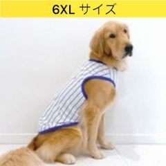 メルカリ 犬服 接触冷感 6XL 野球ユニフォーム Tシャツ ストライプ 中型犬 大型犬 ひんやり クール ベスト 熱中症対策 doggystar ドッギースター