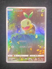 ナエトル　AR