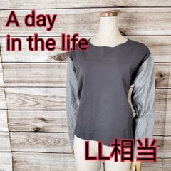 美品 A day in the life アデイインザライフ ユナイテッドアローズ カットソー トップス 長袖 丸首 レディース 袖と後ろ身頃が異素材 ストレッチ LL相当 XL相当 2L相当 チャコールグレー グレー 灰色(8275017 bbb250)