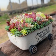 オーダー承ります 多肉植物寄せ植えそのまま飾れるちま寄せ花車