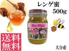 レンゲ蜜500g 非加熱 生はちみつ 国産 純粋 送料無料