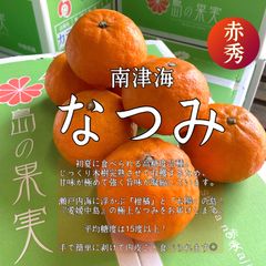 愛媛中島産　南津海（なつみ）　赤秀3kg
