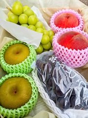 12日発送☆サクラ様専用クール便☆メロン２玉追加