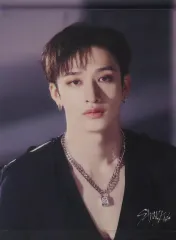 【中古】タペストリー バンチャン A3タペストリー 「Stray Kids 5-STAR Dome Tour 2023」 通販限定