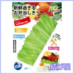 【特価】シンカテック 抗菌ベジカベ G-レタス 約131×50×22㎜ グリーン