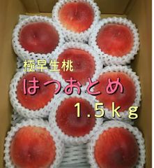 （クール便）桃「はつおとめ」1.5ｋｇ送料込み【特別栽培】福島市