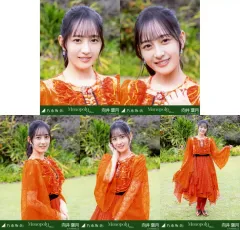 2026年最新】向井葉月 生写真の人気アイテム - メルカリ