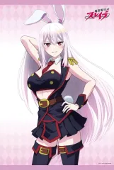 魔都精兵のスレイブ 出雲天花 羽前杏香 タペストリー 魔都精兵のスレイブ 出雲天花 羽前杏香 タペストリー