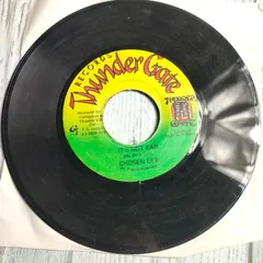 5034 SNOOP LION MR VEGAS スレンテン レゲエ レコード