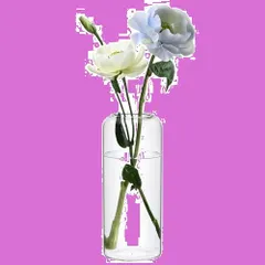 ComSaf 花瓶 ガラス 一輪挿し 透明 おしゃれ 北欧 花器 リビング 寝室 オフィス 用 インテリア 水栽培 花器 活け花 造花用