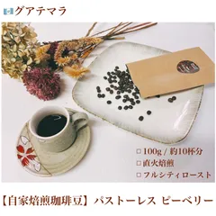 【自家焙煎珈琲豆】グァテマラ　パストーレス　ピーベリー　約10杯分/100g　フルシティロースト（直火焙煎珈琲豆）