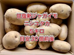 【鹿児島産】甘塩新ジャガイモ箱込み5キロ^_^