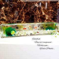 金魚ハーバリウム ギフト インテリア ハーバリウム