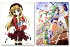 【中古】ポスター（アニメ） 両面ポスター(八つ折) 七尾奈留/CO2A 月刊少年エース10月号増刊 エース桃組2002 Autumn 付録