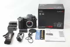 2024年最新】パナソニック LUMIX DC-G9 ボディの人気アイテム - メルカリ