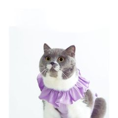 Item thumbnail for item 0e655ee5-2628-4272-8c51-95118255ab9f