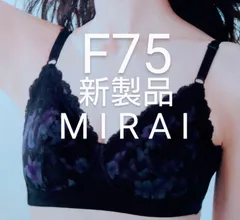 みっこり　シャルレ ミライブラ　G70 2枚＆ミライショーツ　L 2枚 シャルレ - シャルレ ミライ ブラ G70の通販 by mayu's shop