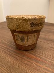 green leafのリメイク鉢♡シャビー鉢2.5号③