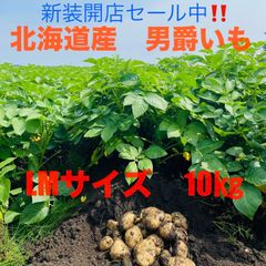 北海道産　男爵じゃがいも　10kg