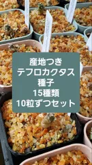 レア）テフロカクタス　いろいろ　１５種類　１０粒ずつセット レア）テフロカクタス いろいろ 15種類 10粒ずつセット テフロ