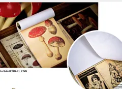 キノコのメモ帳(no.12-57)