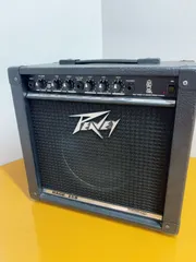 2024年最新】PEAVEY RAGE-158の人気アイテム - メルカリ