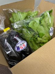 こだわり茄子とリーフレタスのセット品