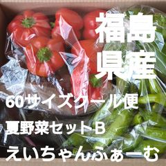 福島県産!パプリカとピーマンとなすとししとうとゴーヤ夏野菜セットＢ