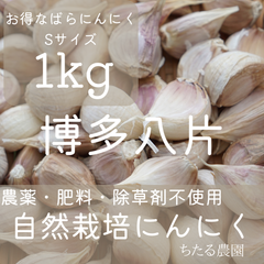 自然栽培（農薬肥料除草剤等不使用）にんにくバラ片 Sサイズ1kgです❁⃘
