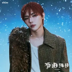 &TEAM ニコラス 雪明かり 中華 まとめ売り 2025年最新】雪明かり ニコラスの人気アイテム - メルカリ