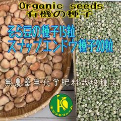 一寸そら豆（大粒）の種 15粒とスナップエンドウの種 20 粒セット販売 有機種子・無農薬無化 学肥料栽培のタネ