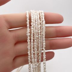 Item thumbnail for item 924a27d8-db4f-4f7e-8ca1-20f74c45739a