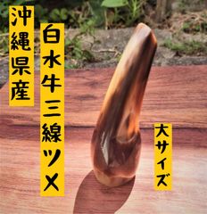【白茶牛角】【大】三線ツメ（バチ）（SU220629)