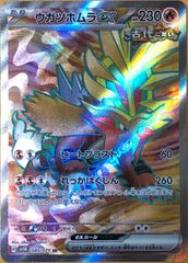 【ポケカ】ポケモンカードゲーム　ウガツホムラex【SR】