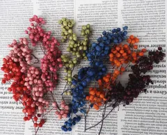 No22 ベリーのクリスマスリース シャリンバイ ペッパーベリー ドライモス