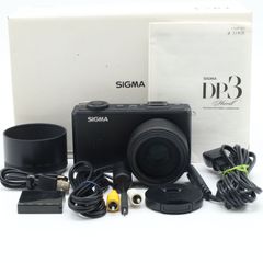 ■美品■ SIGMA DP3 Merrill 番:510