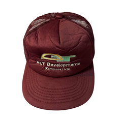 D &T DEVELOPMENTS CAP