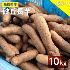 【鳥取県産】黄金里芋 大和芋 宅急便 10kg さといも サトイモ 山芋