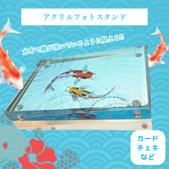 【磁石式アクリルフォトスタンド】フォトフレーム 鯉 和風 写真立て プレゼント ギフト オリジナル  新品