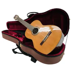 2025年最新】aria アコースティックの人気アイテム - メルカリ