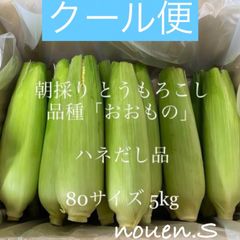 朝採り！とうもろこし  品種「おおもの」ハネだし品🌽クール便 7/18最終発送