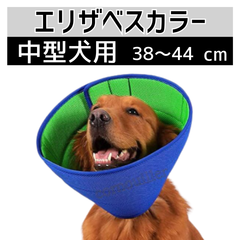 エリザベスカラー 中型犬用 柔らか素材 軽量 通気性 ソフトタイプ クッション型 首周りカバー 保護 首輪 傷舐め 掻きむしり 防止 術後ケア 犬用カラー 介護用品 手術後対応 怪我 皮膚炎 ケア用品 洗濯可 快適設計 ペット用品