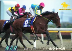 2025年最新】ホクトベガの人気アイテム - メルカリ
